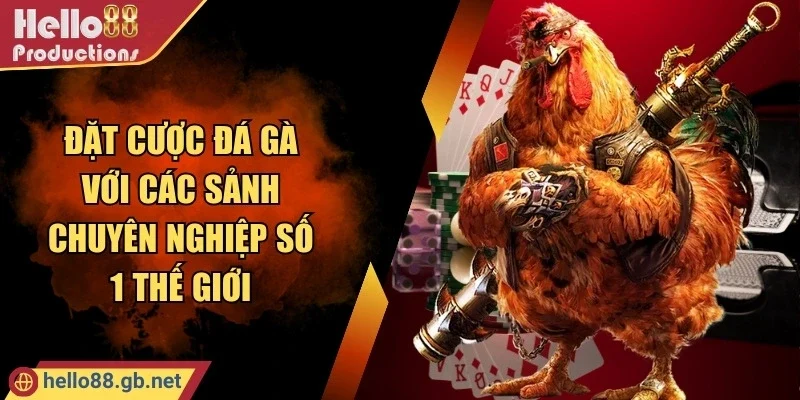 Đặt cược đá gà với các sảnh chuyên nghiệp số 1 thế giới